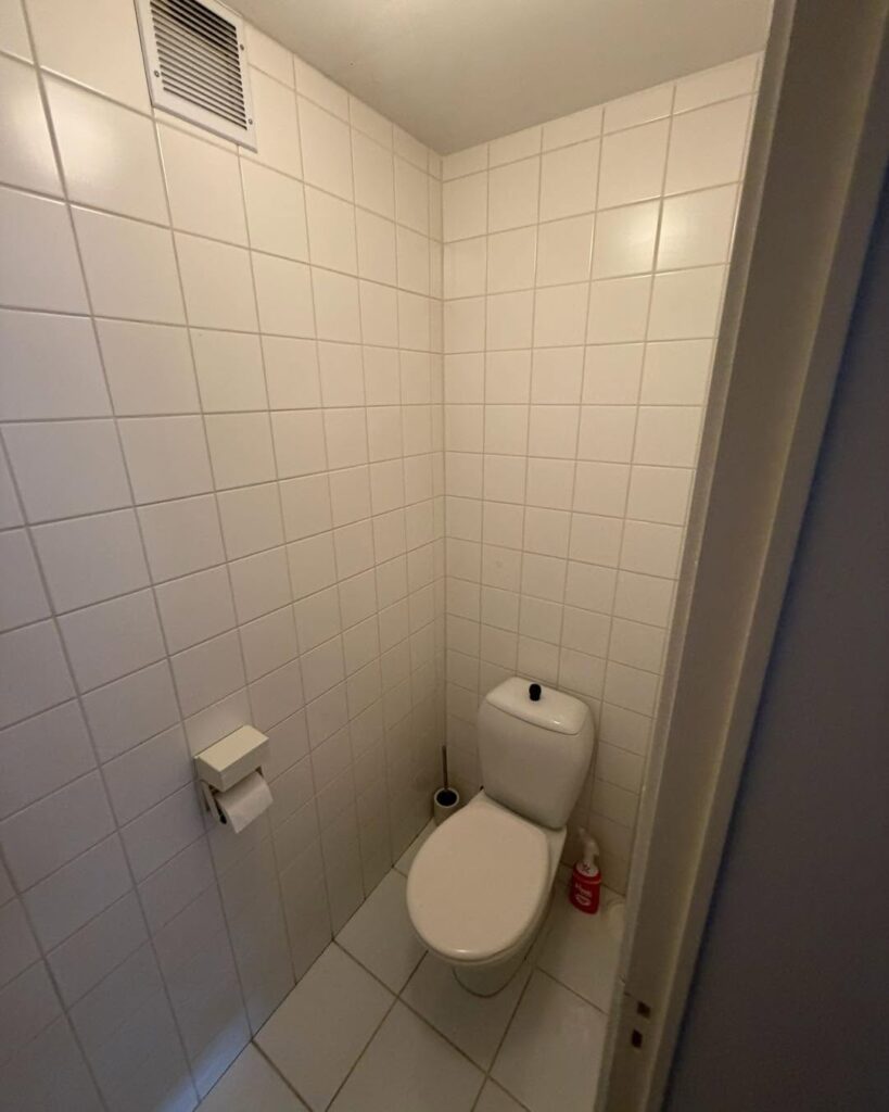 toilet1